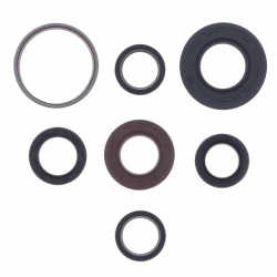 Athena, sada gufer motoru, Yamaha NXC 125X CYGNUS '04-'10, YW 125 BWS '10-'11