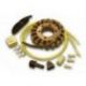 Electrex, stator alternátoru, Honda CBR 900 (92-99), VFR 750/800, CBR 1100 XX, Ducati (107X42X24)