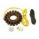 Electrex, stator alternátoru, Yamaha XTZ 660/750, Kawasaki ZZR 600