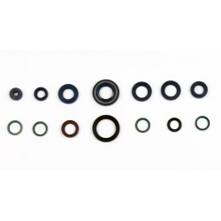Athena, sada gufer motoru Ducati MONSTER 400 / 600 / 750 / 900 '93-'00 , SUPER SPORT 750 / 900 , Ducati