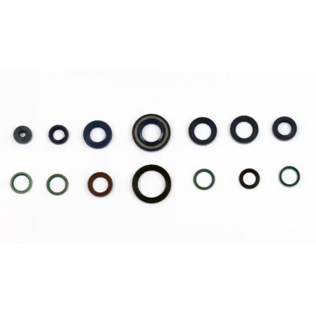 Athena, sada gufer motoru Ducati MONSTER 400 / 600 / 750 / 900 '93-'00 , SUPER SPORT 750 / 900 , Ducati