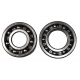 Bearing Worx, ložiska a gufera klikovky, Kawasaki KLX 125/125L '03-'06 (NTN) (MADE IN JAPAN) (24-1036)
