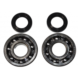 Bearing Worx, ložiska a gufera klikovky, Kawasaki KDX 200 '91-'06, KDX 220 '97-'05 (NTN) (MADE IN JAPAN) (24-1045)