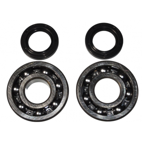Bearing Worx, ložiska a gufera klikovky, Kawasaki KDX 200 '91-'06, KDX 220 '97-'05 (NTN) (MADE IN JAPAN) (24-1045)