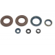 Centauro, sada gufer motoru, KTM LC4 350/400/500/600/620/ '87-'94 (ALL MODELS LC4)