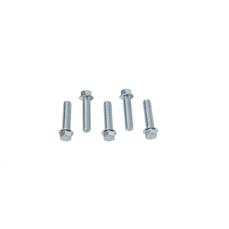 Accel, šroub s límcem, M6X25mm, plochá hlava (5 ks.)