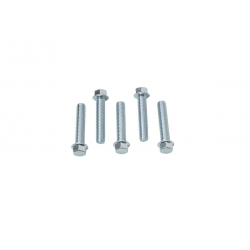 Accel, šroub s límcem, M6X30mm, plochá hlava (5 ks.)