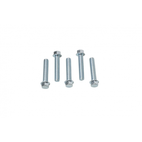 Accel, šroub s límcem, M6X30mm, plochá hlava (5 ks.)