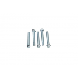Accel, šroub s límcem, M6X40mm, plochá hlava (5 ks.)