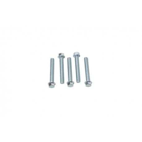 Accel, šroub s límcem, M6X40mm, plochá hlava (5 ks.)
