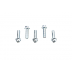 Accel, šroub s límcem, M8X25mm (5ks.)