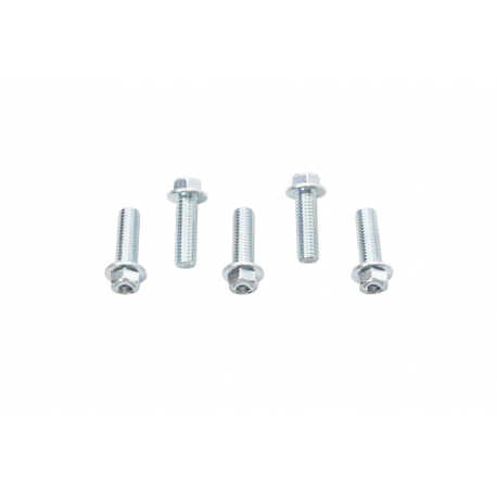 Accel, šroub s límcem, M8X25mm (5ks.)