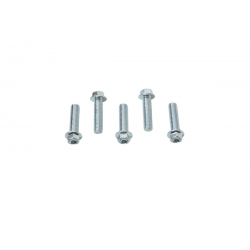 Accel, šroub s límcem, M8X30mm, (5ks.)