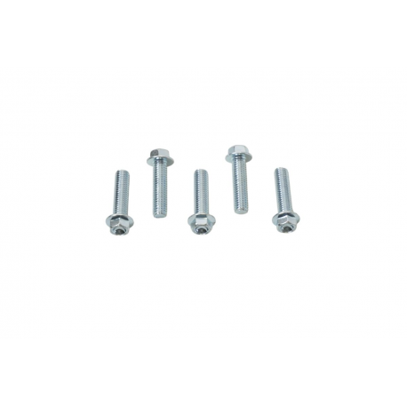 Accel, šroub s límcem, M8X30mm, (5ks.)