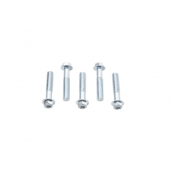 Accel, šroub s límcem, M8X40mm, hlava se zahloubením(5 ks.)