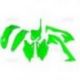 UFO, sada plastů, Kawasaki KXF 450 16-17 zelená Fluo barva