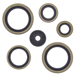 WINDEROSA (VERTEX) KOMPLET (ZESTAW) USZCZELNIACZY SILNIKOWYCH KTM SX125 98-14