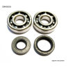 BEARING WORX ŁOŻYSKA WAŁU KORBOWEGO Z USZCZELNIACZAMI YAMAHA YZ 125 01-04 (NTN) (24-1025)