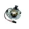 ELECTREX UZWOJENIE ALTERNATORA STATOR SUZUKI RM 125 (89-93)
