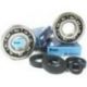 Athena, ložisko 3TM SX06C62CS44- CRF 250R/X '04-'09 PRAVÉ
