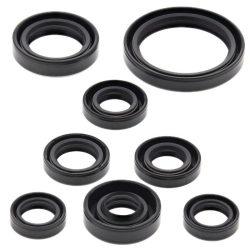 WINDEROSA (VERTEX) KOMPLET (ZESTAW) USZCZELNIACZY SILNIKOWYCH YAMAHA YZF400/426 98-02