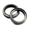 ARIETE USZCZELNIACZE PRZEDNIEGO ZAWIESZENIA PYŁOWE Y 48X60