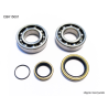 BEARING WORX ŁOŻYSKA WAŁU KORBOWEGO BETA 2T 250/270/290/300 ALL
