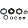 ATHENA KOMPLET (ZESTAW) USZCZELNIACZY SILNIKOWYCH HUSQVARNA WR 250 92-98