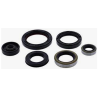 WINDEROSA 2021/07 (VERTEX) KOMPLET (ZESTAW) USZCZELNIACZY SILNIKOWYCH YAMAHA YZ250(YZ 250)' 01
