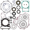 WINDEROSA 2021/07 (VERTEX) KOMPLET USZCZELEK Z USZCZELNIACZAMI SILNIKOWYMI YAMAHA 450 RHINO 06-09