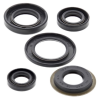 WINDEROSA 2021/07 (VERTEX) KOMPLET (ZESTAW) USZCZELNIACZY SILNIKOWYCH YAMAHA TTR225 99-04