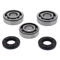 ALL BALLS ŁOŻYSKA WAŁU KORBOWEGO Z USZCZELNIACZAMI YAMAHA YZ65 18