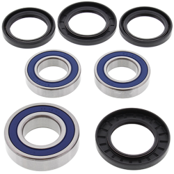 ALL BALLS ŁOŻYSKA KOŁA TYLNEGO Z USZCZELNIACZAMI SUZUKI GSF1250 07-14