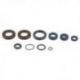 Athena, sada gufer motoru, BETA RK6 50CCM '93-'96, RR6 '97-'99, SM 50 '99, KTM 65 '93-'99, '01-'06