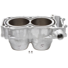 CYLINDER WORKS CYLINDER POLARIS RZR 900 / RZR 4 900 '15-16