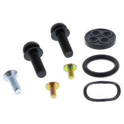 ALL BALLS ZESTAW NAPRAWCZY KRANIKA CAN-AM DS 250 06-18