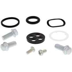ALL BALLS ZESTAW NAPRAWCZY KRANIKA HONDA CRF250X 08-17