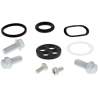 ALL BALLS ZESTAW NAPRAWCZY KRANIKA HONDA CRF250X 08-17