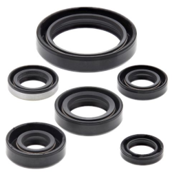 WINDEROSA (VERTEX) KOMPLET (ZESTAW) USZCZELNIACZY SILNIKOWYCH KAWASAKI KLX250R 94-96