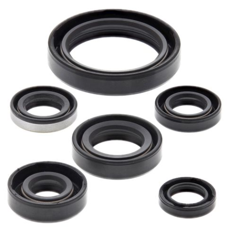 WINDEROSA (VERTEX) KOMPLET (ZESTAW) USZCZELNIACZY SILNIKOWYCH KAWASAKI KLX250R 94-96