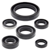 WINDEROSA (VERTEX) KOMPLET (ZESTAW) USZCZELNIACZY SILNIKOWYCH KAWASAKI KLX250R 94-96