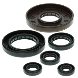 WINDEROSA (VERTEX) KOMPLET (ZESTAW) USZCZELNIACZY SILNIKOWYCH HONDA TRX450ES 98-01