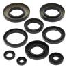 WINDEROSA (VERTEX) KOMPLET (ZESTAW) USZCZELNIACZY SILNIKOWYCH YAMAHA GRIZZLY 400 07-08