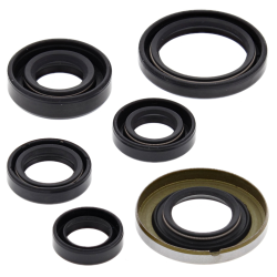 WINDEROSA (VERTEX) KOMPLET (ZESTAW) USZCZELNIACZY SILNIKOWYCH HONDA TRX400 EX 05-08