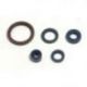 Athena, sada gufer motoru, Husqvarna TE 250 03-09, TE 310 09-10, TE 450/510 03-10, TC 250/310/450