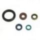 Athena, sada gufer motoru, Kawasaki KLX 250 09-12, KLX 250S 07-12