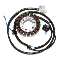 ELECTROSPORT UZWOJENIE ALTERNATORA (STATOR) YAMAHA XV 250 VIRAGO (95-07)