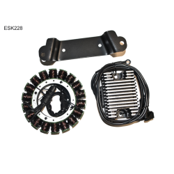 ELECTROSPORT UZWOJENIE ALTERNATORA (STATOR) KIT HD