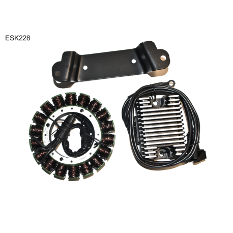 ELECTROSPORT UZWOJENIE ALTERNATORA (STATOR) KIT HD