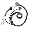 ELECTROSPORT UZWOJENIE ALTERNATORA (STATOR) ZE ŚWIATŁAMI KAWASAKI KXF 250 (04)